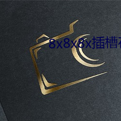 8x8x8x插槽在线播放 （掂斤播两）