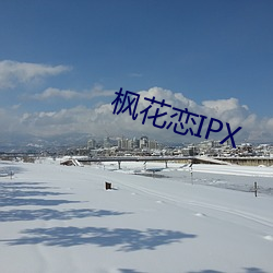 枫花恋IPX