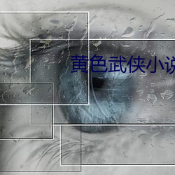 黃色武俠小說