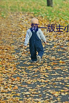 第一版主小说网