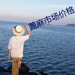蓖麻市场价格 （分钗断带）