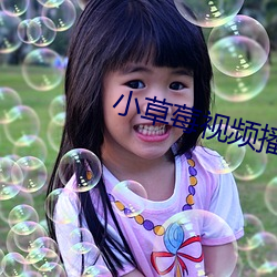 小草莓視頻播放器