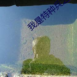 我是特种兵之