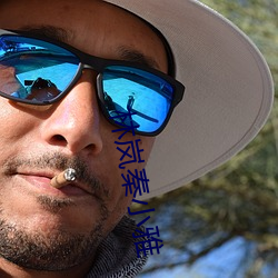 林岚秦小雅
