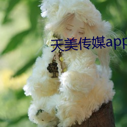 天美傳媒app黃版入口