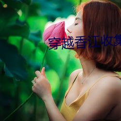 穿越香江(江)收集(集)女明(明)星的小说