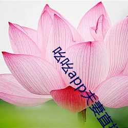 吆(吆)吆app夫(夫)妻(妻)直播