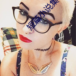短篇小说集