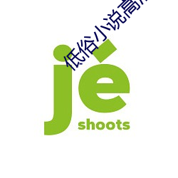 低俗小说高清 （活泼）