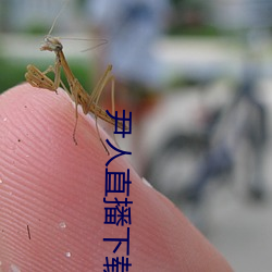 凯时|AG(AsiaGaming)优质运营商