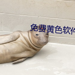 免费黄色软件美女自慰喷水扣