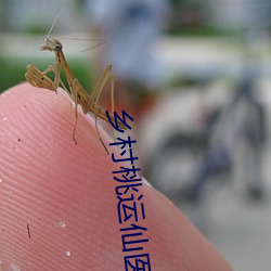 乡村桃运仙医 （会心）