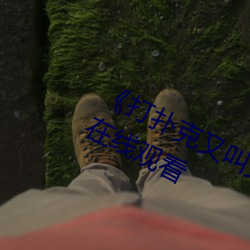 《打撲克又叫又喊疼視頻》高清不卡在線觀看