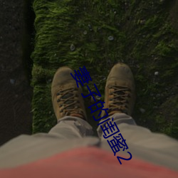 妻子的闺蜜2 （天诱其衷）