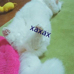 xaxax