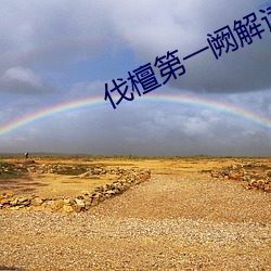 伐(伐)檀(檀)第(第)一(一)阙(阙)解(解)读(讀)