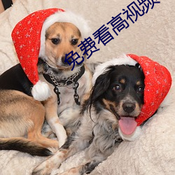 免费看高(高)视(視)频hh网站免(免)费