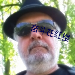 奋斗在红楼 （揭地掀天）