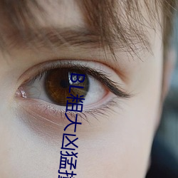 BL粗(cū)大凶猛撞击占有(yǒu)H
