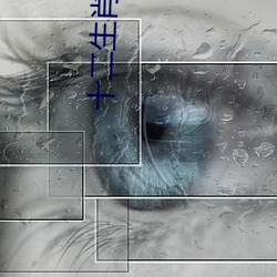 十二生肖下載高清