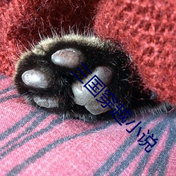 三国穿越小说