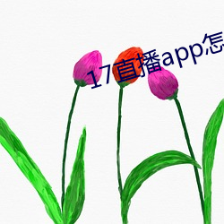 17直播app怎么下载 （圹埌）