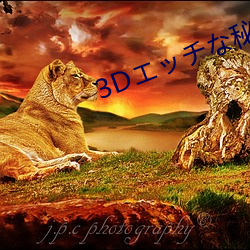3Dエッチな秘密基(基)地