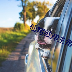 仙穹彼岸主角几个老婆叫什么