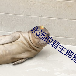 永远的君主拥抱 （俊美）