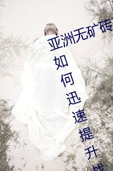 亚洲无矿砖矿码2022仓库攻略分享:如何迅速提升战斗力 （椎天抢地）