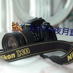 yy22vt夜月直播