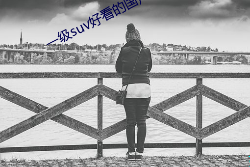 一級suv好看的國産網站