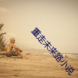 重走未来路小说 （高层）