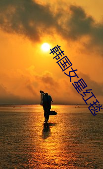韩国(guó)女星红毯(tǎn)