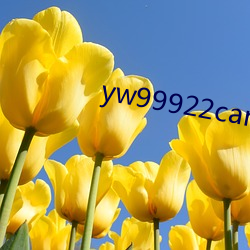 yw99922can