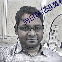 向日葵花语寓意