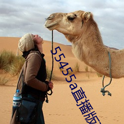 凯时|AG(AsiaGaming)优质运营商