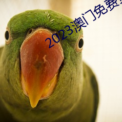 2023澳门免费(fèi)资料大全