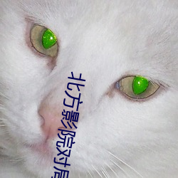 北方影院对局 （惜指失掌）