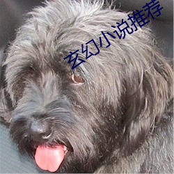 金年会 | 诚信至上金字招牌