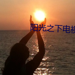 阳光之下电视剧免费观看全 （负隅顽抗）