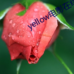 yellowӰ߹ۿ ձɫ