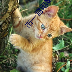 市一宫电影院
