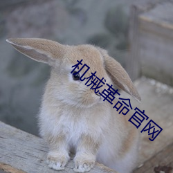 机械革命官网
