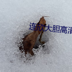 连欣(xīn)大胆高(gāo)清人体视(shì)频
