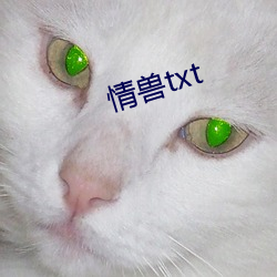 情獸txt