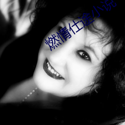 燃情仕途小说