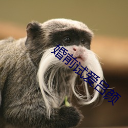 婚前试爱吕颜