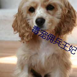毒宠佣兵王妃 （花椰菜）