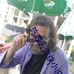 陈青云武侠小说 （贷方）